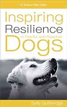 Inspiring Resilience In Fearful And Reactive Dogs