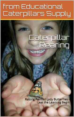 Caterpillar Rearing: Raising Painted Lady Butterflies Let The Learning Begin