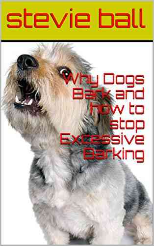 Why Dogs Bark And How To Stop Excessive Barking