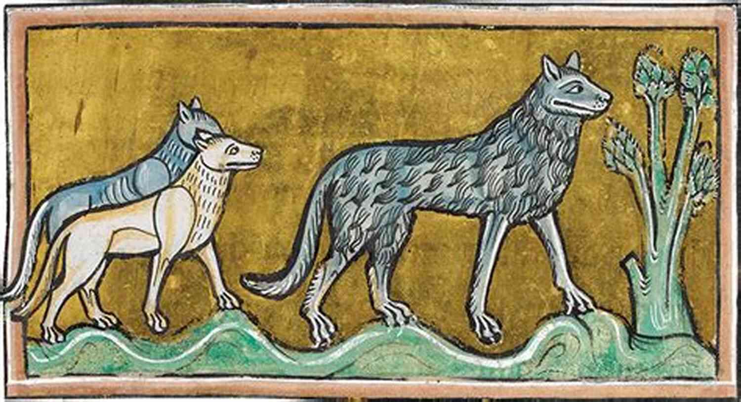 A Pack Of Fierce Saxon Revenge Wolves Running Wild In The Forest Saxon Revenge (Wolf Brethren 2)