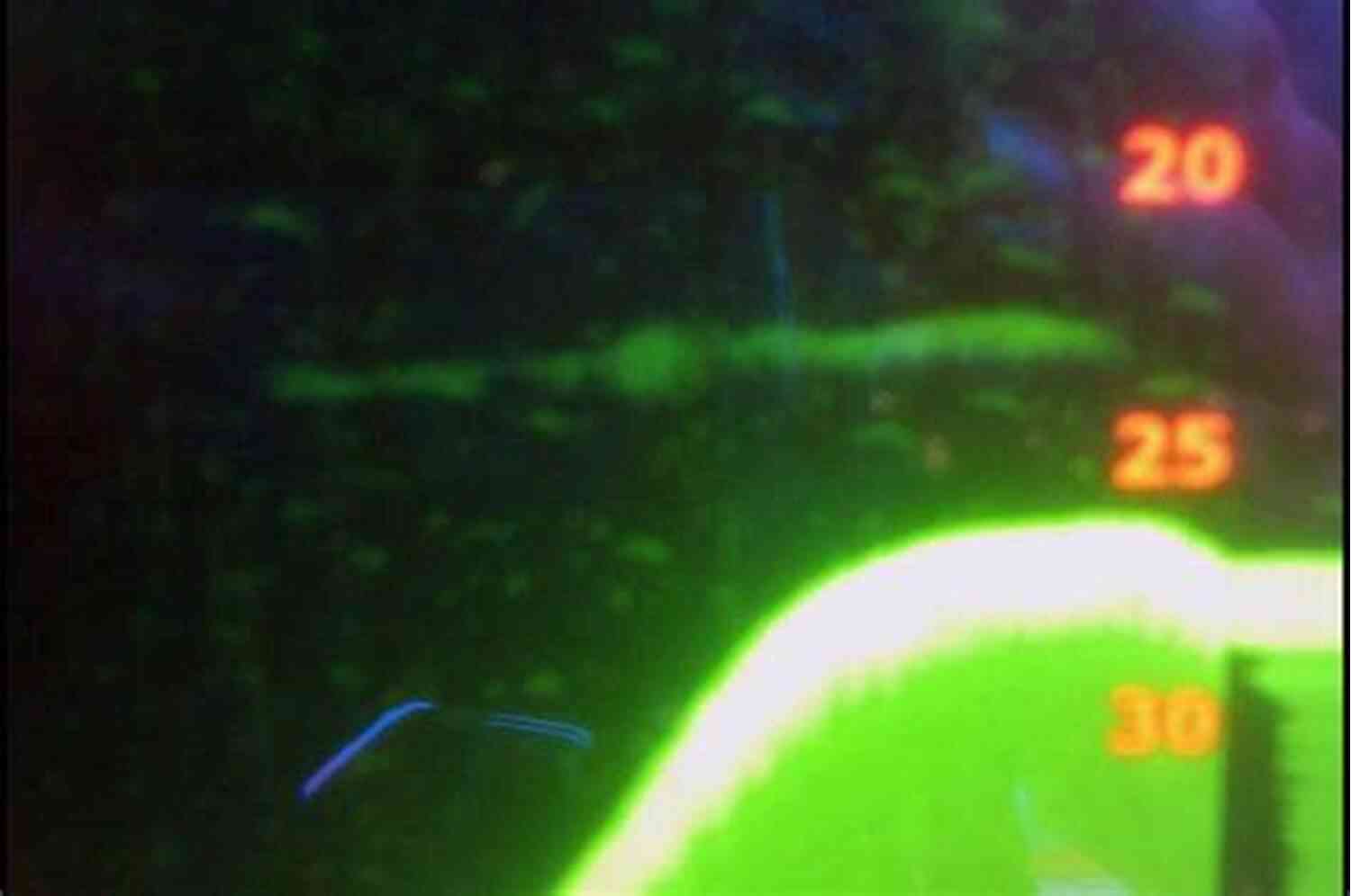Actual Photograph Of The Serpent Of The Loch Professor Challenger: The Serpent Of The Loch