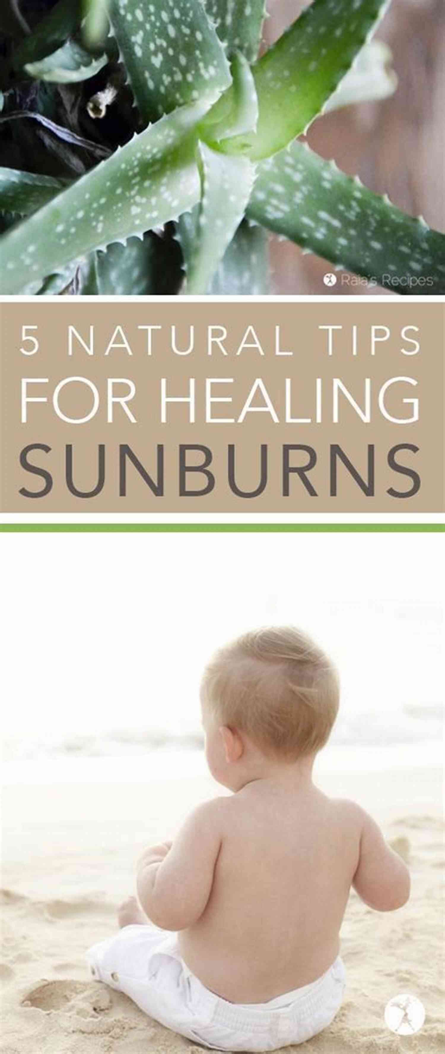 Aloe Vera: The Miracle Plant Heals Sunburns, Acne, And More Naturally Aloe Vera The Miracle Plant: Natures Natural Healer