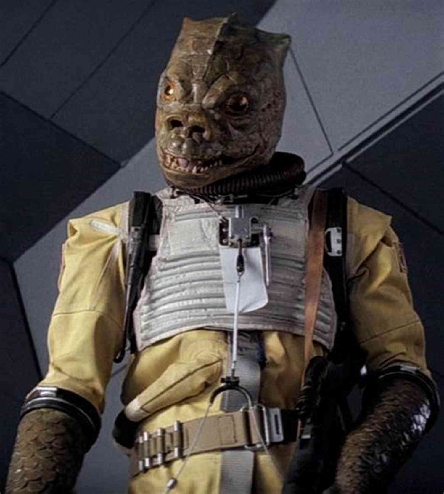 An Untold Tale Of Bossk: The Cold And Calculated Trandoshan Bounty Hunter Tales Of The Bounty Hunters: Star Wars Legends (Star Wars Legends 3)