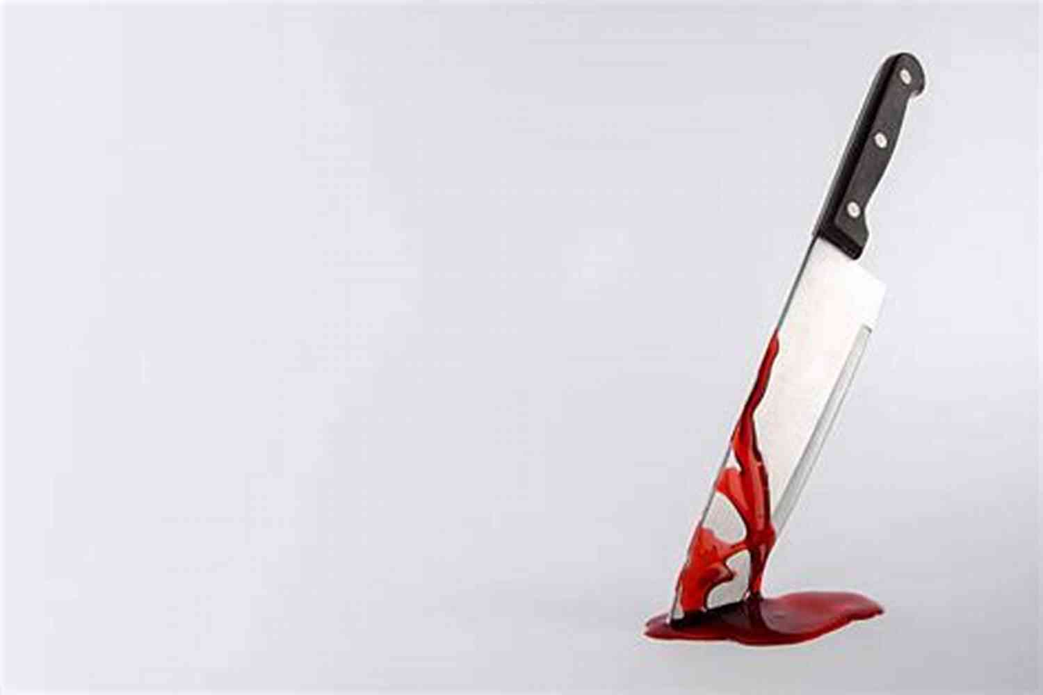 Ana Key Holding A Blood Stained Knife Revenge: A Serial Killer Horror Short Story (Ana R Key)