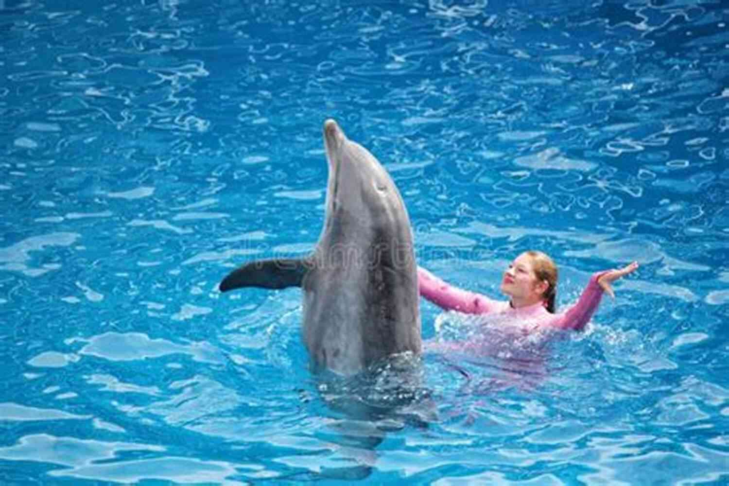 Below The Waist Dolphin Dance: Barrel Roll Below The Waist Dancing Dolphin Patterns