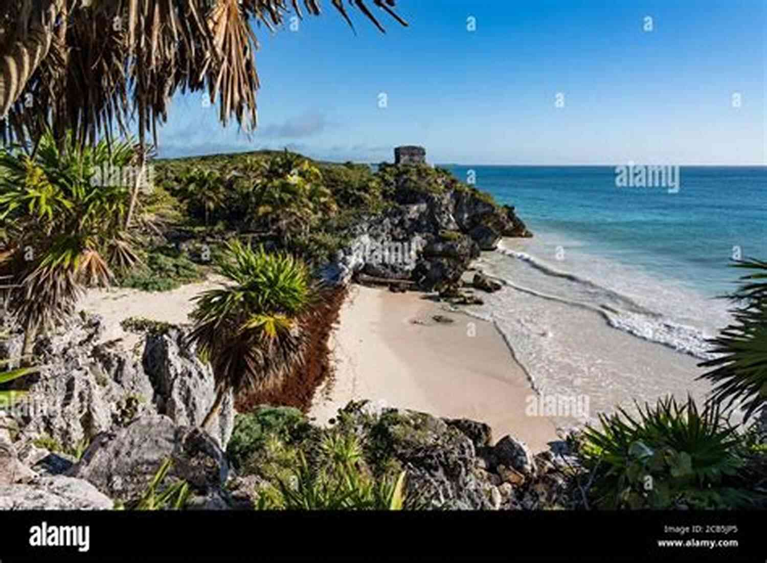 Coastal Caribbean Temple Wild Sky: A Coastal Caribbean Adventure (Tyson Wild Thriller 39)