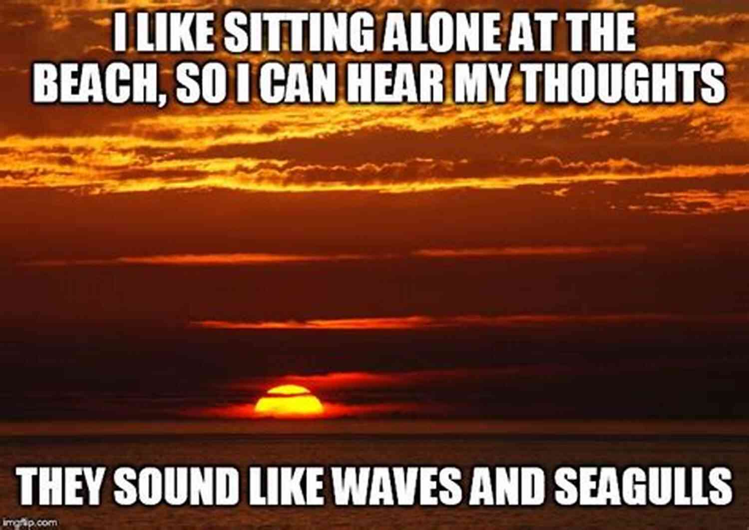 Deep Thoughts During A Sunset At The Beach The Answer Is : Reflections On My Life