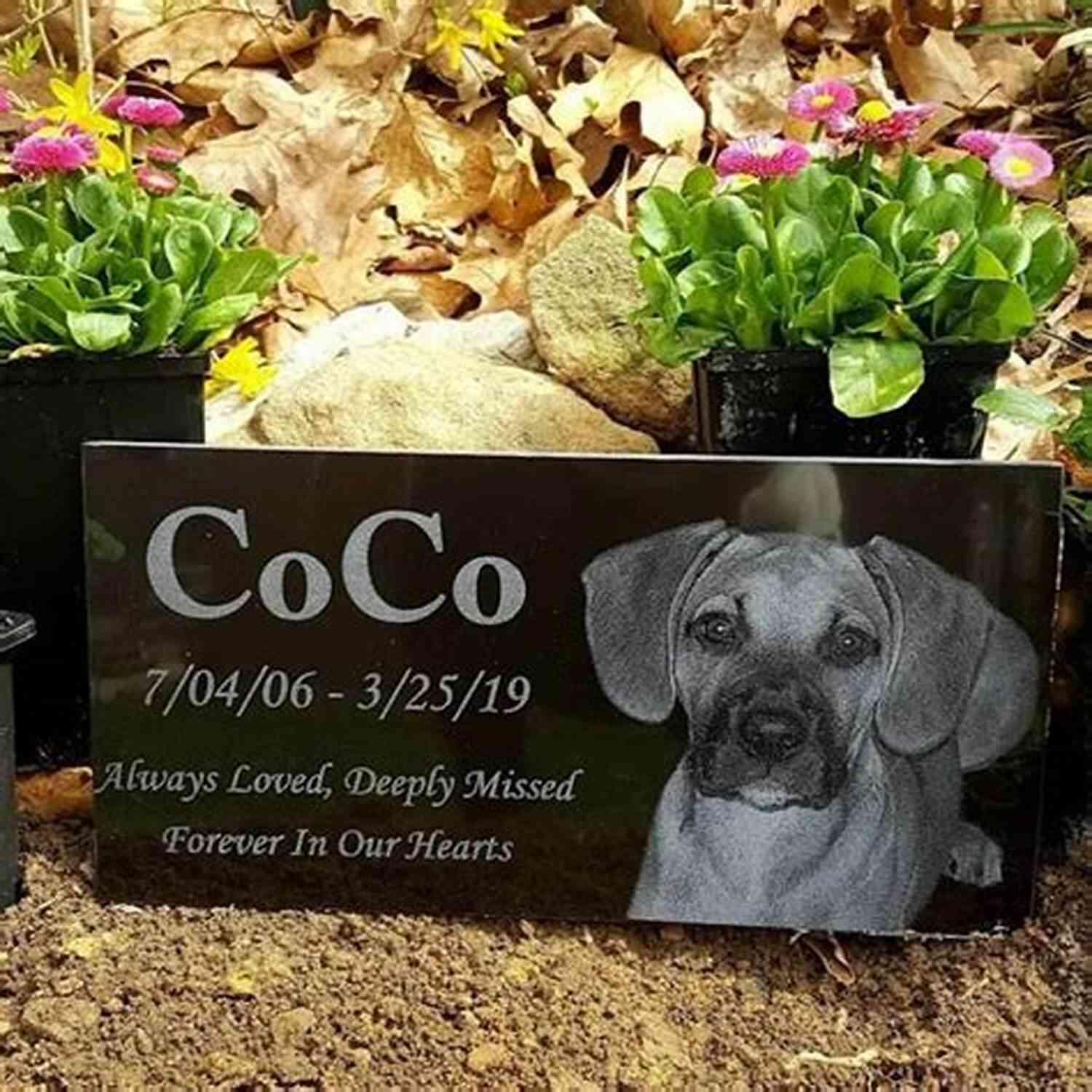 Dog Tombstone Bigger Than Grandpa's Jeff Foxworthy Quotes: 55+ Great Quotes By Jeff Foxworthy That Might Make You Laugh Your Head Off