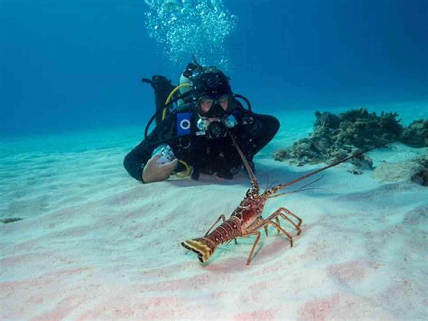 Elias Graves Diving In The Deep Sea Me Myself I Elias Graves