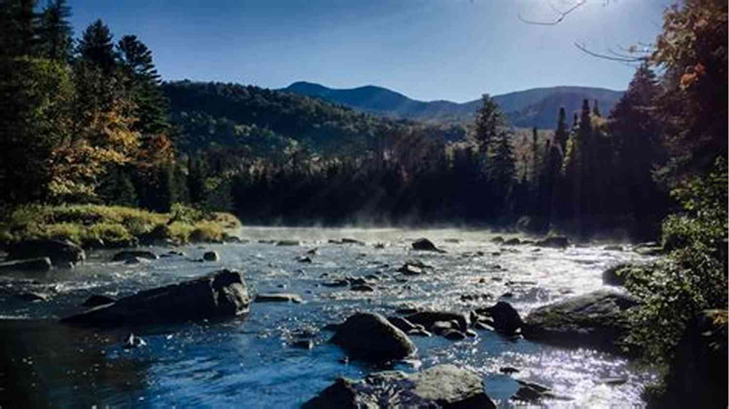Fly Fishing The West Branch Of The Ausable River