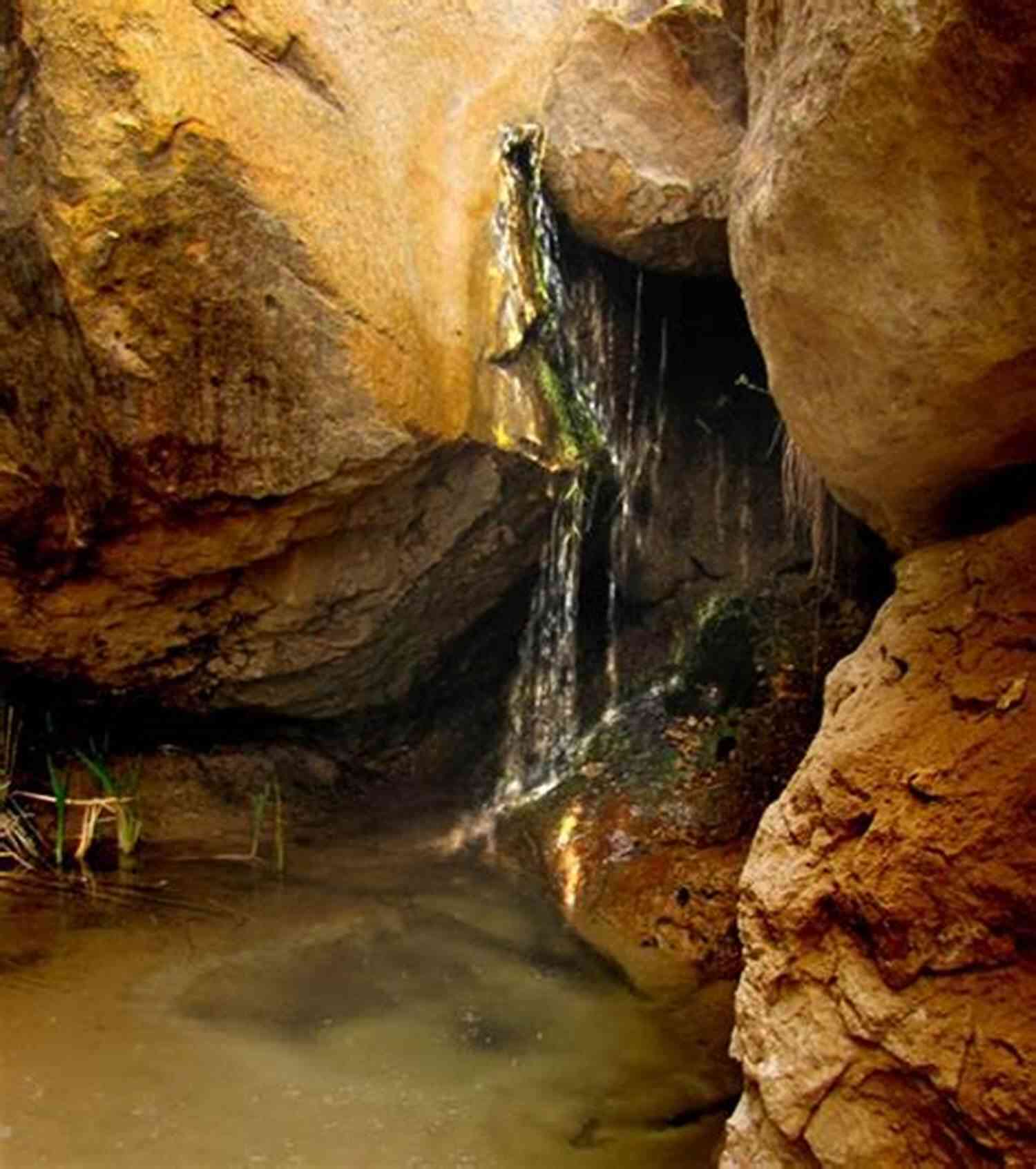 Ghost Ranch Canyon Presence: Poems From Ghost Ranch