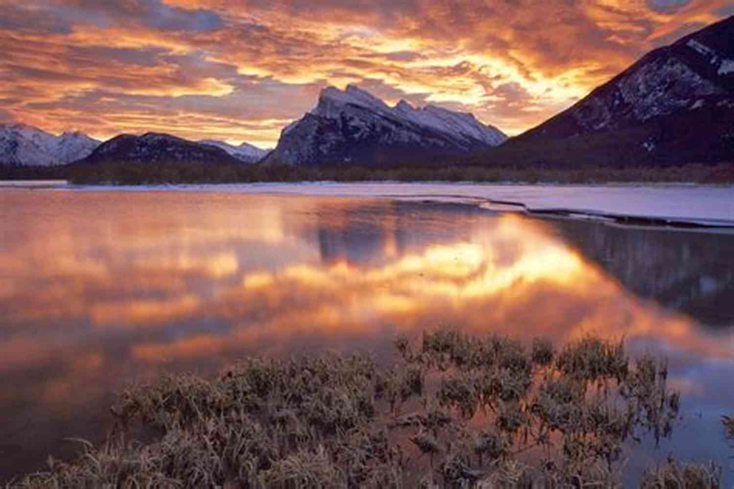 Glad You're Here Explore The Enchanting Landscapes Glad You Re Here: Two Unlikely Friends Breaking Bread And Fences