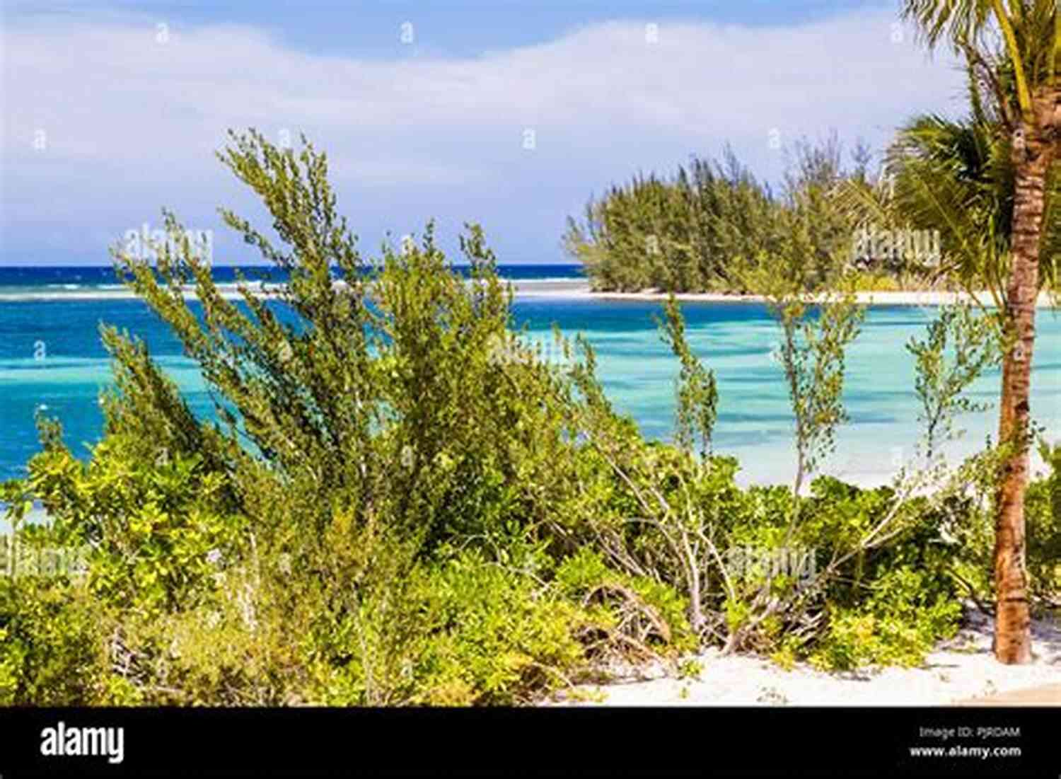 Jamaica Beach Crystal Clear Waters, Sandy Beaches, And Lush Greenery Make Jamaica A Paradise For Adventure Seekers Wild Season: A Coastal Caribbean Adventure (Tyson Wild Thriller 22)