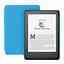 Kindle Edition