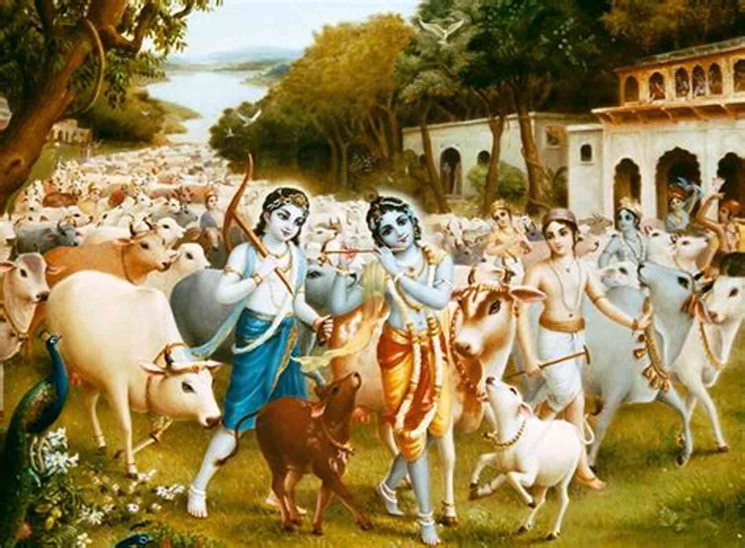 Krishna Surrounded By Cows, Tending To Them With Love And Care Beautiful Krishna (In Closing 10)