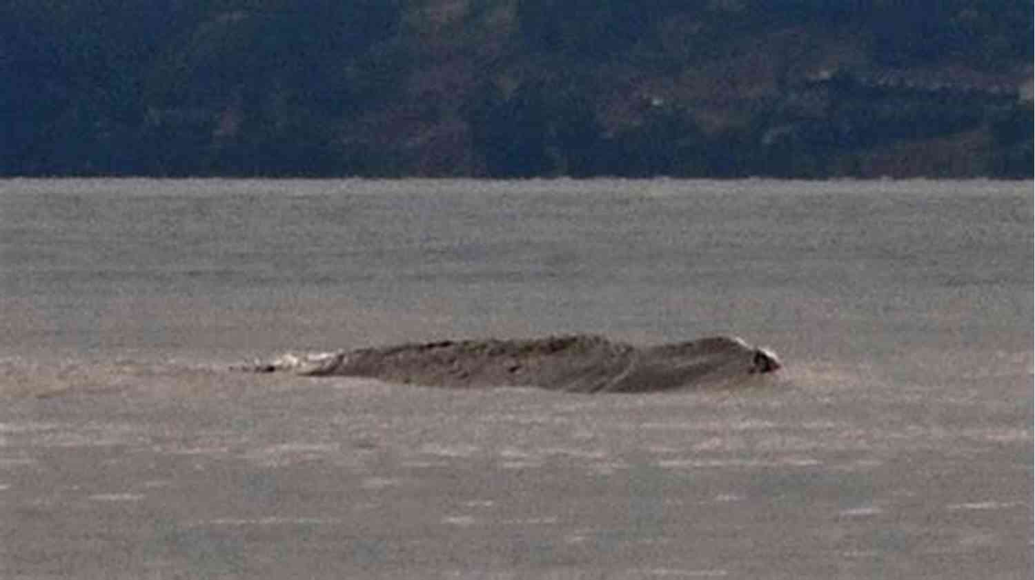 Legendary Loch Ness Monster Sightings Professor Challenger: The Serpent Of The Loch