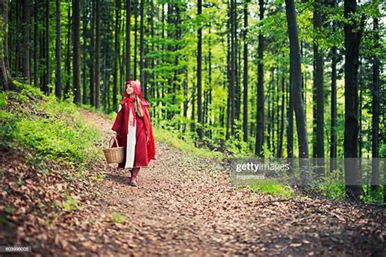 Little Red Riding Hood Walking Through The Forest Holding A Basket A One Night Stand With Nine: The Uncommon Side Of Common Stories