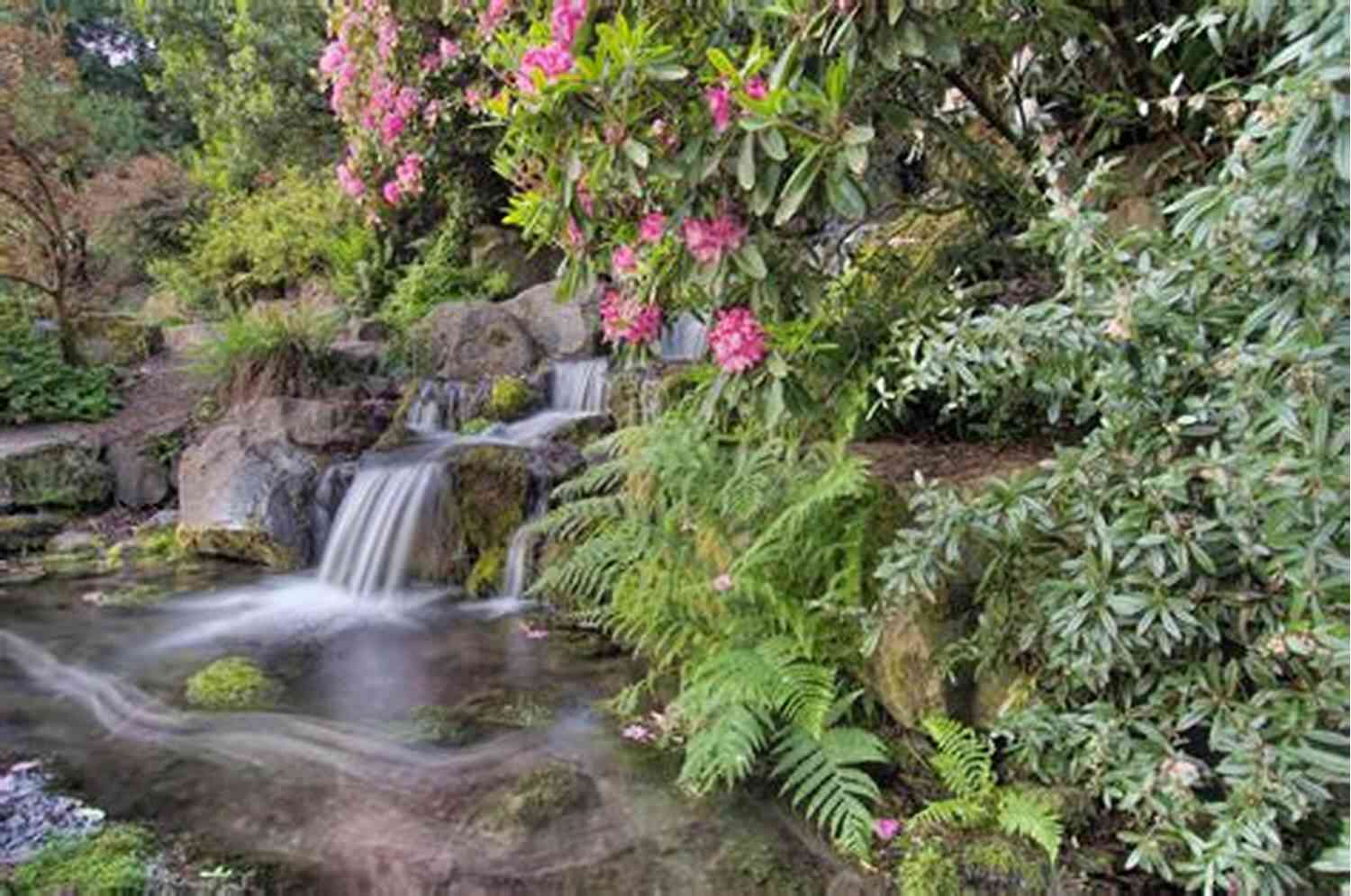 Lush Tropical Landscapes With Waterfalls And Vibrant Flora Water Water Everywhere: A Cam Derringer Novel (Tropical Adventure 10)