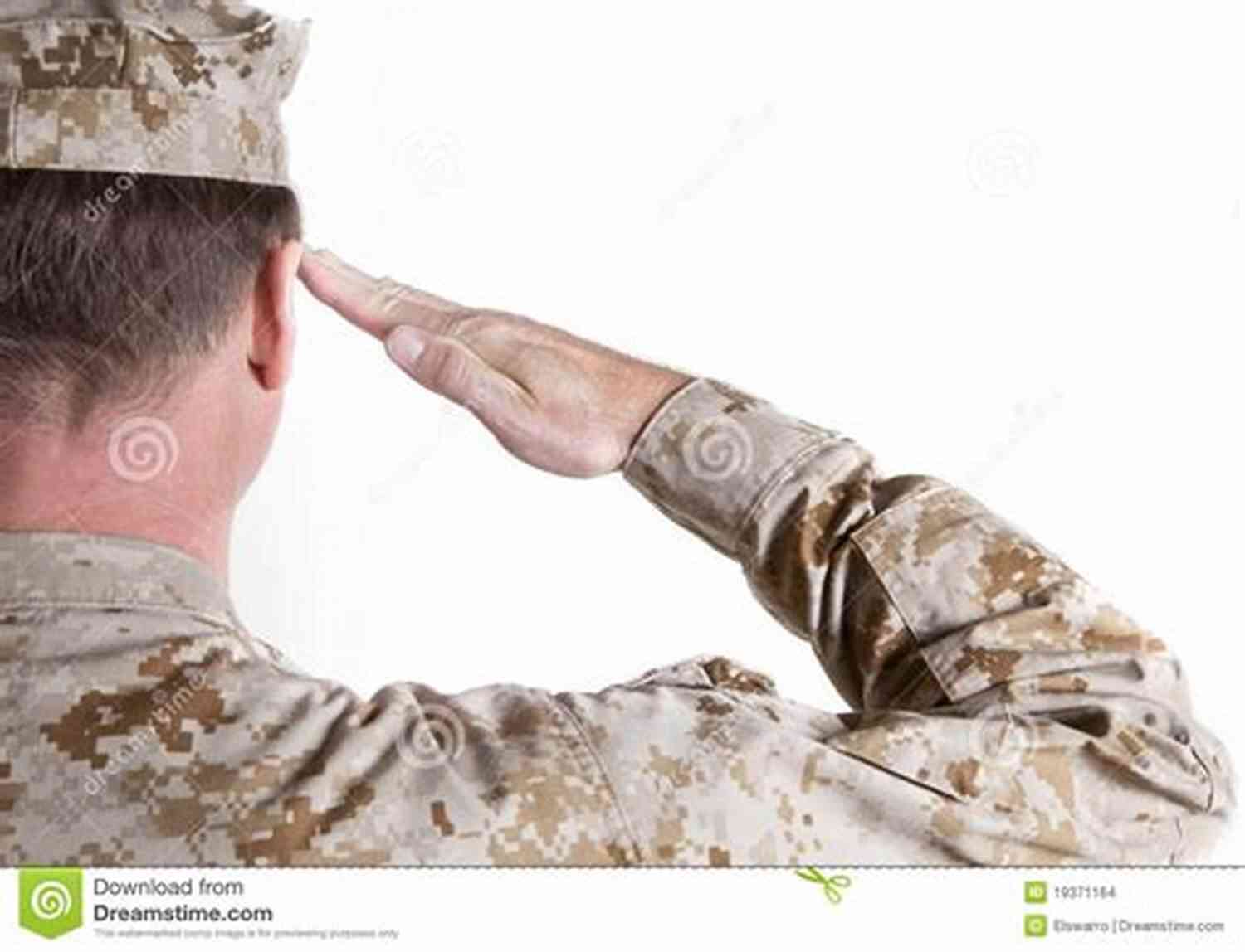 One Marine Saluting With Pride And Determination Wake Him Up (One U G L Y Marine 1)