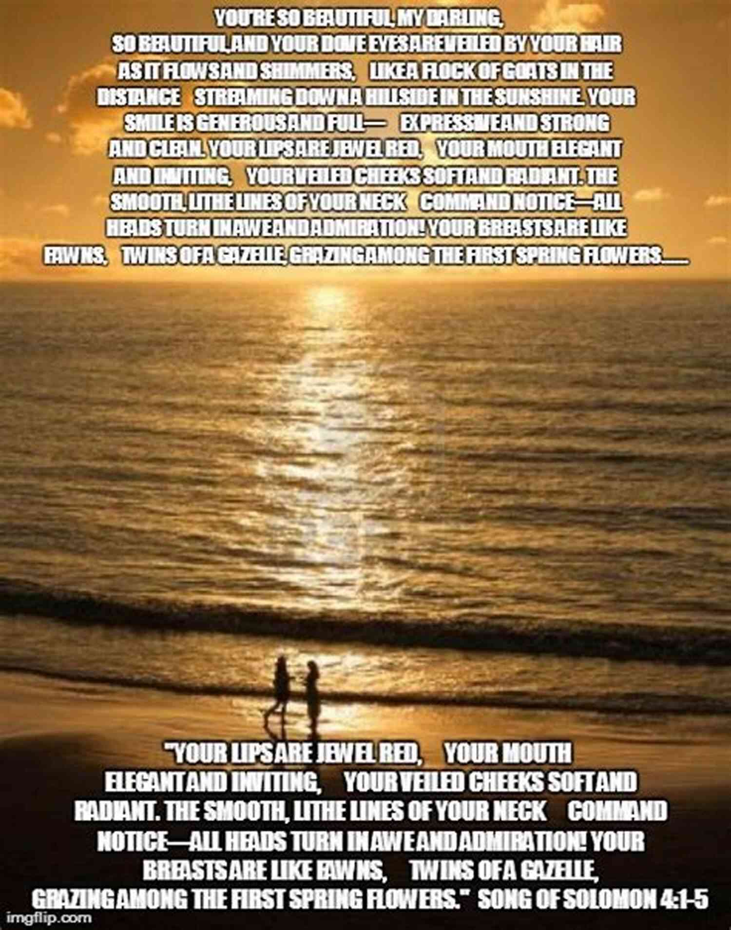Songs Of Solomon 41 The Breakdown Cover Art Songs Of Solomon 4:1 The Breakdown