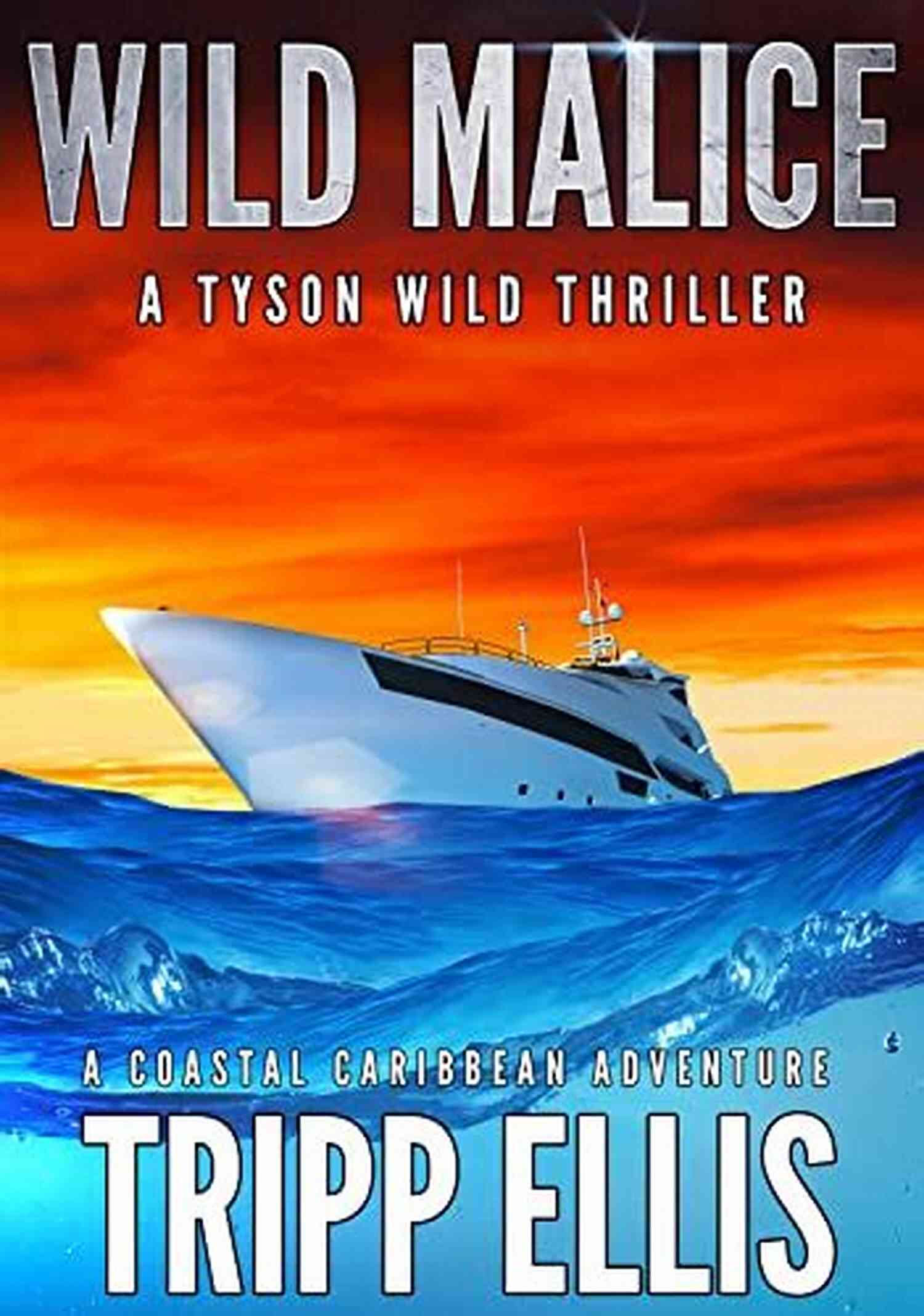 Tyson Wild On A Pirate Ship Wild Break: A Coastal Caribbean Adventure (Tyson Wild Thriller 12)